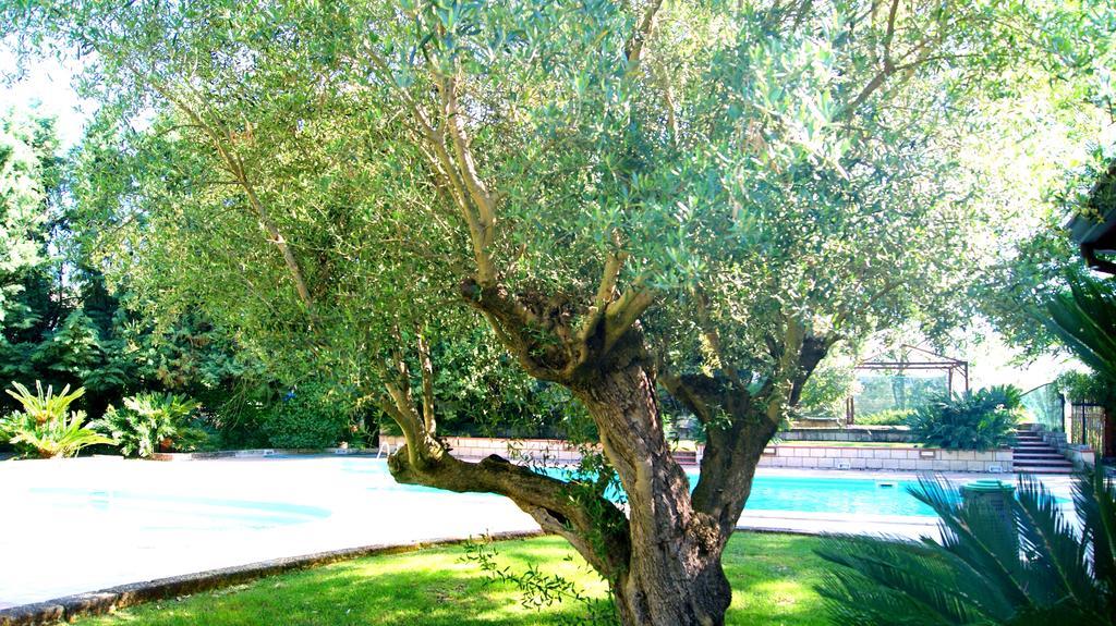 Agriturismo La Colombaia Capua Dış mekan fotoğraf